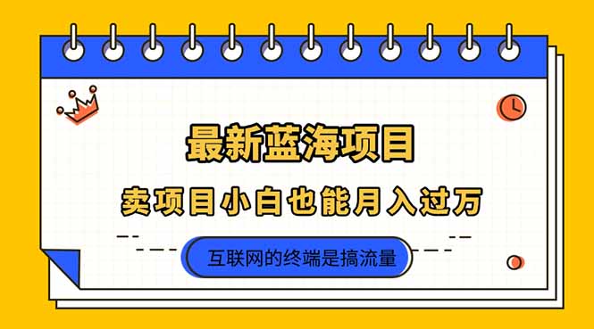2025年最新蓝海项目，卖项目小白也能月入过万-我爱自学网