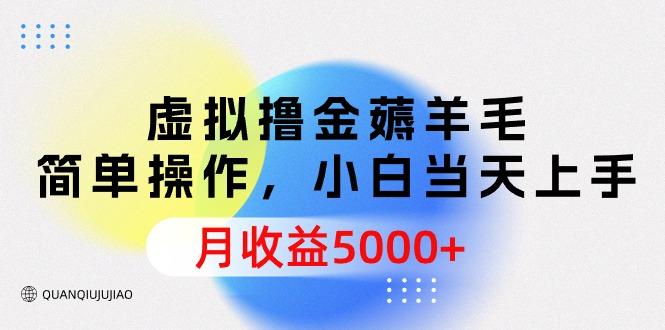 (9864期)虚拟撸金薅羊毛，简单操作，小白当天上手，月收益5000+-我爱自学网