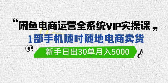 (9547期)闲鱼电商运营全系统VIP实战课，1部手机随时随地卖货，新手日出30单月入5000-我爱自学网