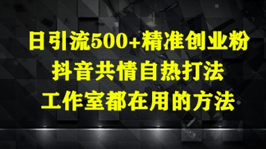 日引流500+精准创业粉，抖音共情自热打法，工作室都在用的方法-我爱自学网