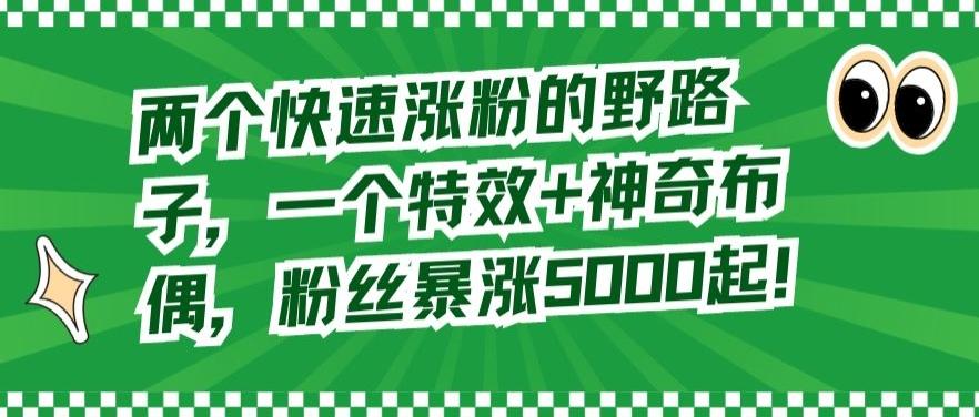 两个快速涨粉的野路子，一个特效+神奇布偶，粉丝暴涨5000起【揭秘】-我爱自学网