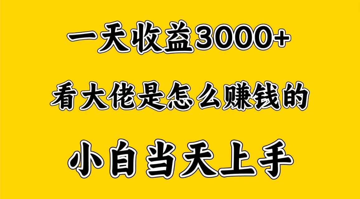 一天赚3000多，大佬是这样赚到钱的，小白当天上手，穷人翻身项目-我爱自学网