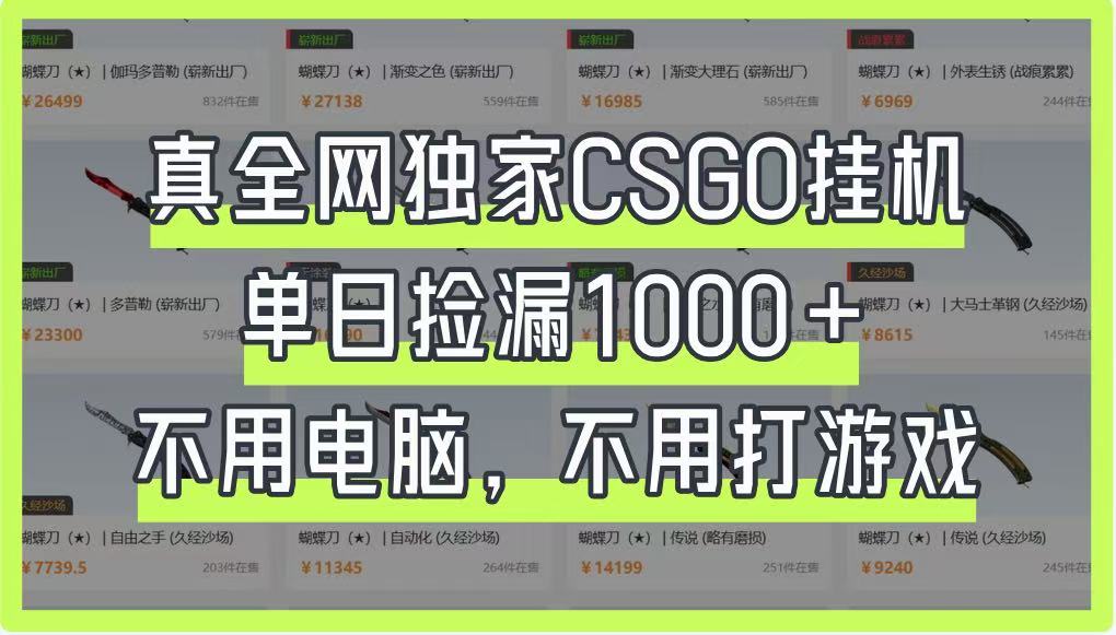 真全网独家CSGO挂机，单日捡漏1000+，不用电脑，不用养号-我爱自学网