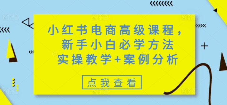 小红书电商高级课程，新手小白必学方法，实操教学+案例分析-我爱自学网