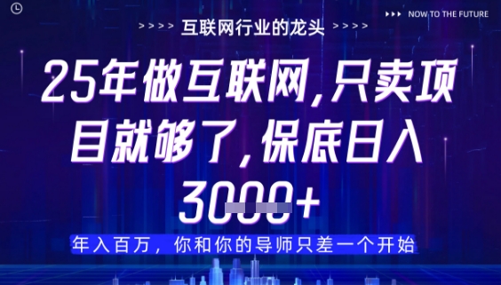 什么！25年你还在找项目做？风口早就变了，卖项目才是稳挣不赔【揭秘】-我爱自学网