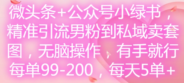 微头条+公众号小绿书，精准引流男粉到私域卖套图，无脑操作，有手就行，每单99-200，每天5单-我爱自学网
