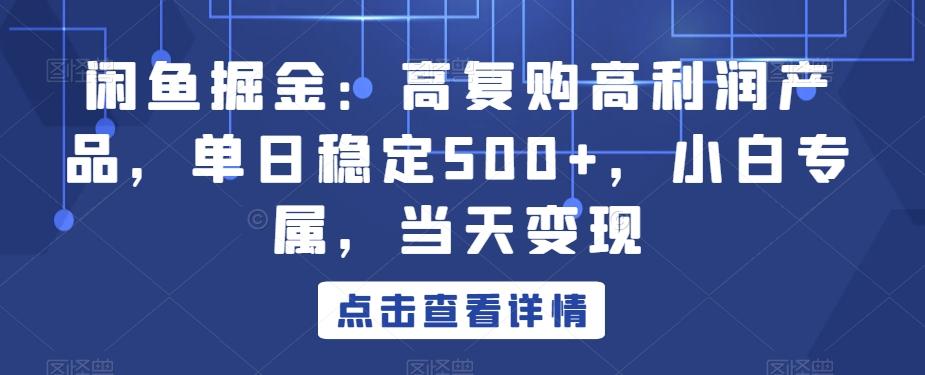 闲鱼掘金：高复购高利润产品，单日稳定500+，小白专属，当天变现-我爱自学网