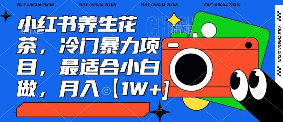 小红书养生花茶，冷门暴力项目，最适合小白做，月入【1W+】-我爱自学网