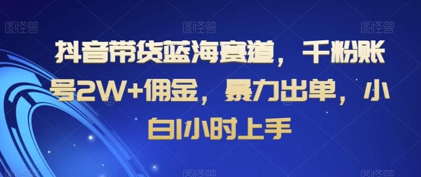 抖音带货蓝海赛道，千粉账号2W+佣金，暴力出单，小白1小时上手【揭秘】-我爱自学网