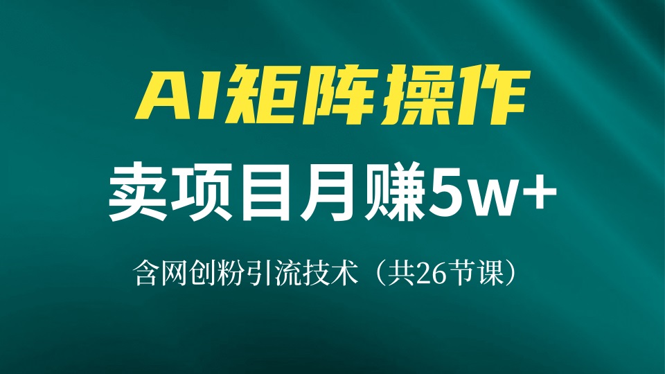 网创IP打造课，借助AI卖项目月赚5万+，含引流技术(共26节课-我爱自学网