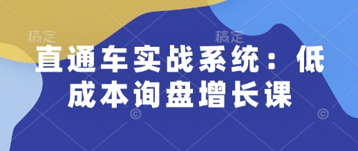 直通车实战系统：低成本询盘增长课，让个人通过技能实现升职加薪，让企业低成本获客，订单源源不断-我爱自学网