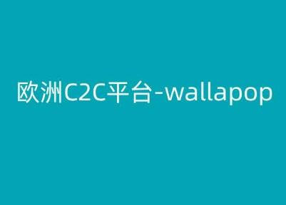 欧洲C2C平台-wallapop-kim跨境电商教程-我爱自学网