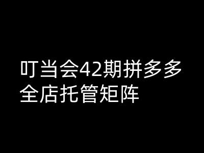叮当会拼多多打爆班原创高阶技术第42期，拼多多全店托管矩阵-我爱自学网