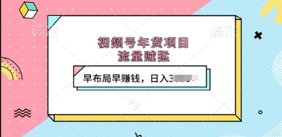 视频号年货项目，流量贼猛，早布局早挣钱，日入上k【揭秘】-我爱自学网