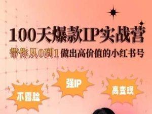 小红书100天爆款IP实战营，带你从0到1做出高价值的小红书号-我爱自学网