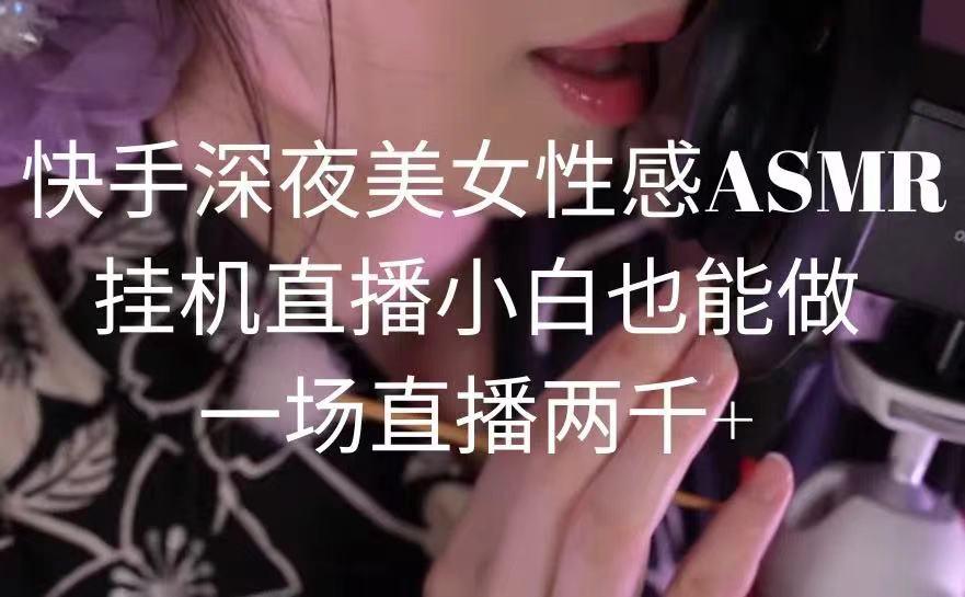 快手深夜美女性感ASMR挂机直播，小白也能做，一场直播两千+-我爱自学网