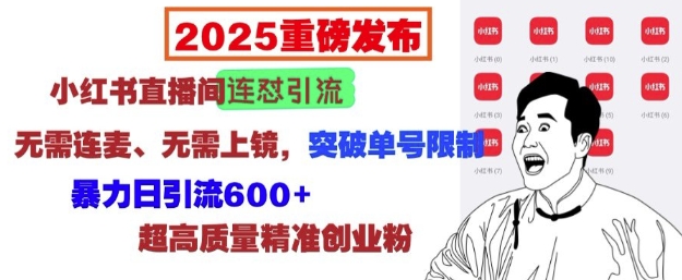 2025重磅发布：小红书直播间连怼引流，无需连麦、无需上镜，突破单号限制，暴力日引流600+-我爱自学网