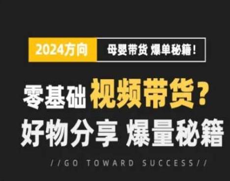 短视频母婴赛道实操流量训练营，零基础视频带货，好物分享，爆量秘籍-我爱自学网