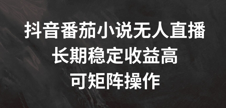 抖音番茄小说无人直播，长期稳定收益高，可矩阵操作【揭秘】-我爱自学网
