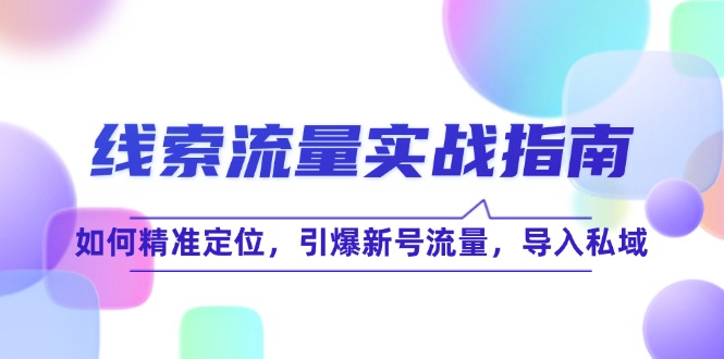 线 索 流 量-实战指南：如何精准定位，引爆新号流量，导入私域-我爱自学网