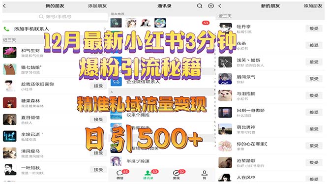 12月最新小红书3分钟爆粉引流秘籍 精准私域流量变现 日引500+-我爱自学网