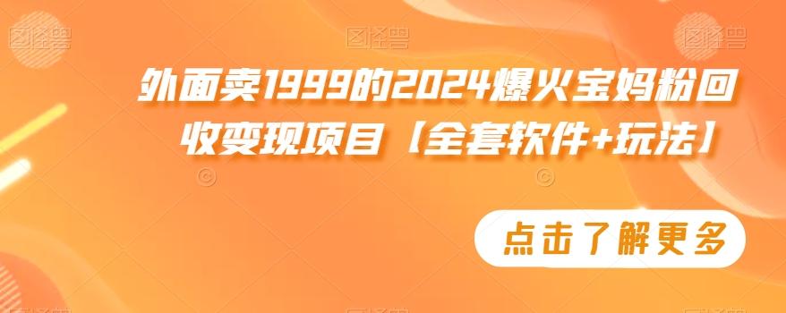 外面卖1999的2024爆火宝妈粉回收变现项目【全套软件+玩法】【揭秘】-我爱自学网