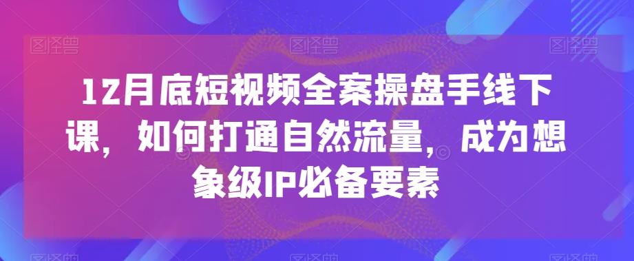 12月底短视频全案操盘手线下课，如何打通自然流量，成为想象级IP必备要素-我爱自学网