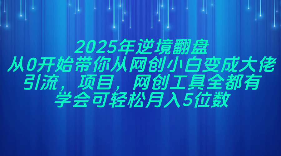 2025年逆境翻盘，从0开始带你从网创小白变成大佬，引流，项目，网创工…-我爱自学网