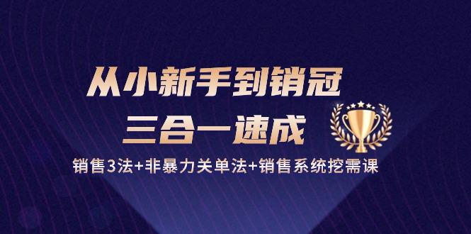 从小新手到销冠 三合一速成：销售3法+非暴力关单法+销售系统挖需课 (27节-我爱自学网