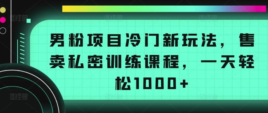男粉项目冷门新玩法，售卖私密训练课程，一天轻松1000+【揭秘】-我爱自学网
