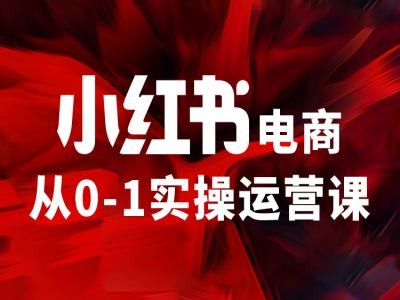 小红书电商从0-1实操运营课，让你从小白到精英-我爱自学网