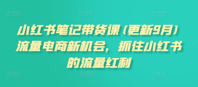 小红书笔记带货课(更新25年2月)流量电商新机会，抓住小红书的流量红利-我爱自学网