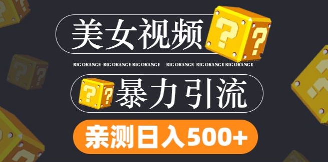 搬运tk美女视频全网分发，日引s粉300+，轻松变现，不限流量不封号【揭秘】-我爱自学网