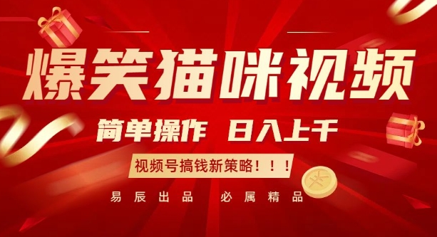 爆笑猫咪视频：简单操作，日入过K，视频号搞钱新策略【揭秘】-我爱自学网