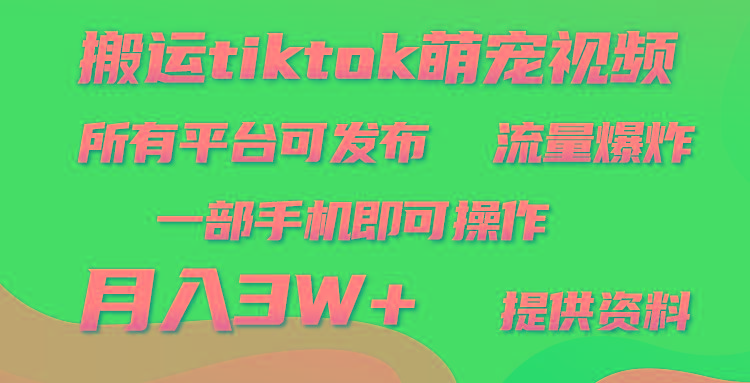 (9618期)搬运Tiktok萌宠类视频，一部手机即可。所有短视频平台均可操作，月入3W+-我爱自学网