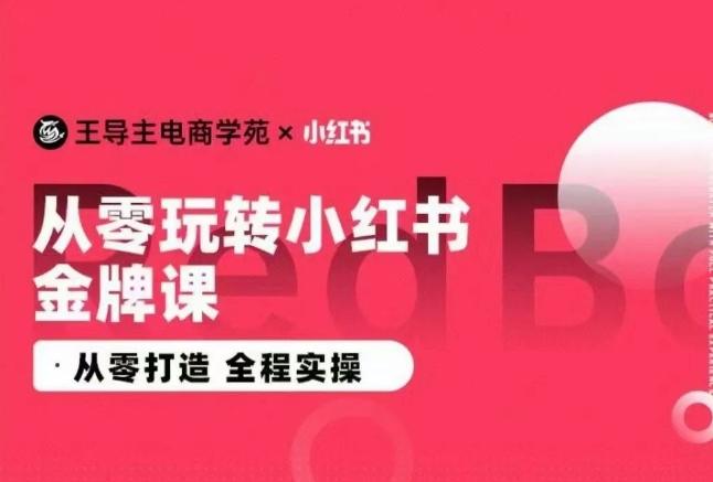 王导主·小红书电商运营实操课，​从零打造  全程实操-我爱自学网