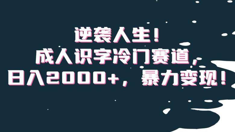 逆袭人生！成人识字冷门赛道，日入2000+，暴力变现！【揭秘】-我爱自学网