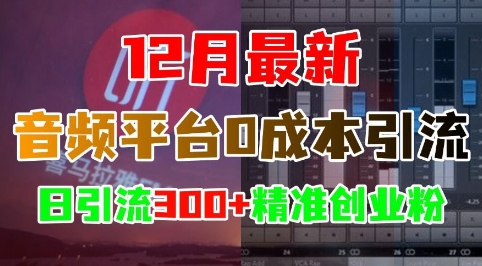 12月最新：音频平台0成本引流，日引流300+精准创业粉-我爱自学网