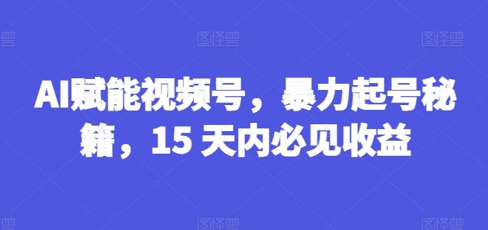 AI赋能视频号，暴力起号秘籍，15 天内必见收益【揭秘】-我爱自学网