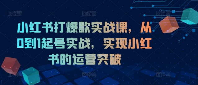 小红书打爆款实战课，从0到1起号实战，实现小红书的运营突破-我爱自学网