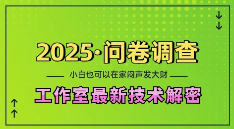 2025问卷调查最新工作室技术解密：一个人在家也可以闷声发大财，小白一天2张，可矩阵放大【揭秘】-我爱自学网