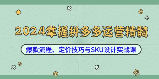 2024掌握拼多多运营精髓：爆款流程、定价技巧与SKU设计实战课-我爱自学网