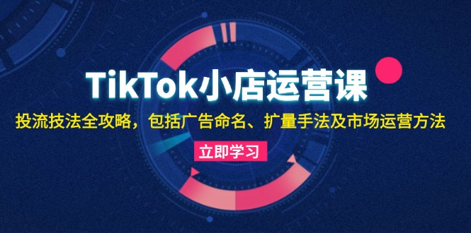 TikTok小店运营课：投流技法全攻略，包括广告命名 扩量手法及市场运营方法-我爱自学网