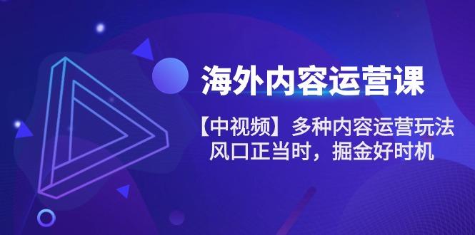 海外内容 运营课【中视频】多种内容运营玩法 风口正当时 掘金好时机-101节-我爱自学网