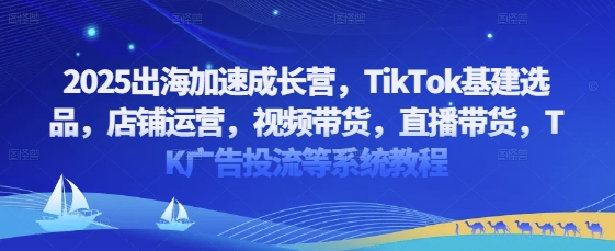 2025出海加速成长营，TikTok基建选品，店铺运营，视频带货，直播带货，TK广告投流等系统教程-我爱自学网