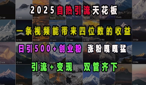 2025自热引流天花板，一条视频能带来四位数的收益，引流+变现双管齐下，日引500+创业粉，涨粉嘎嘎猛-我爱自学网