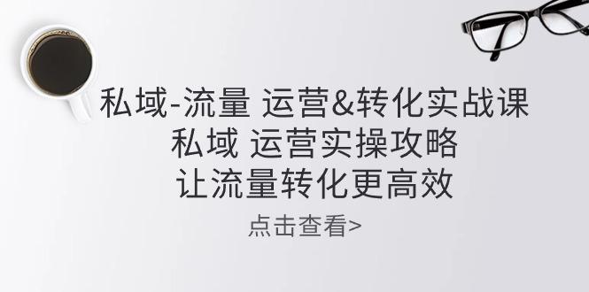 私域-流量 运营&转化实操课：私域 运营实操攻略 让流量转化更高效-我爱自学网