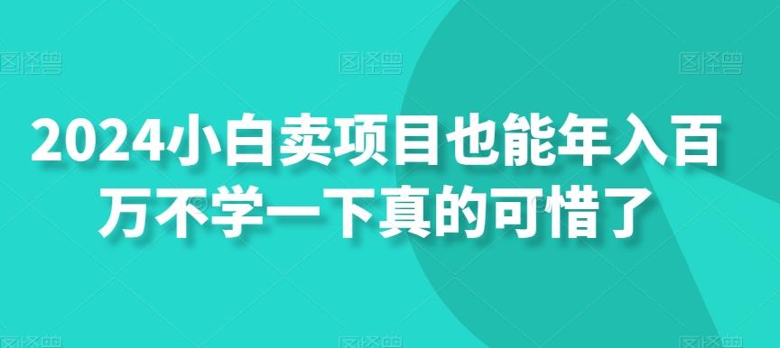 2024小白卖项目也能年入百万不学一下真的可惜了-我爱自学网