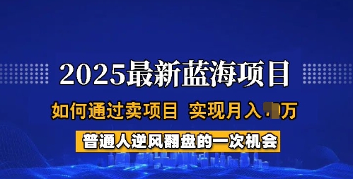 2025蓝海项目，普通人如何通过卖项目，实现月入过W，全过程【揭秘】-我爱自学网