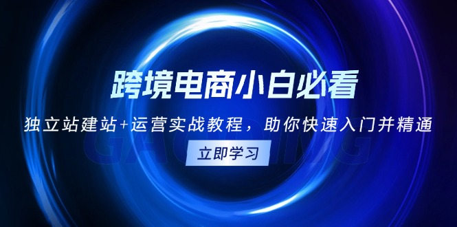 跨境电商小白必看！独立站建站+运营实战教程，助你快速入门并精通-我爱自学网